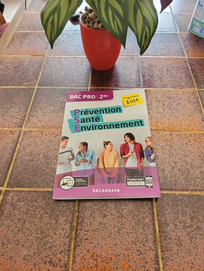 Prévention santé environnement 2de bac pro