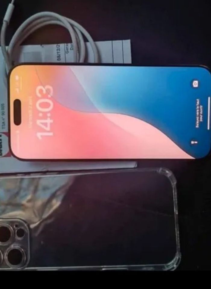 16 Pro Max 256 - photo numéro 2