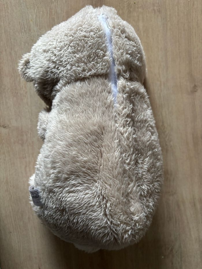 Veilleuse - photo numéro 3