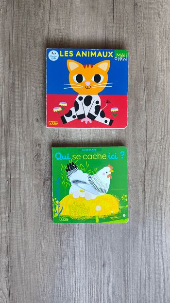 Lot livres cartonnés