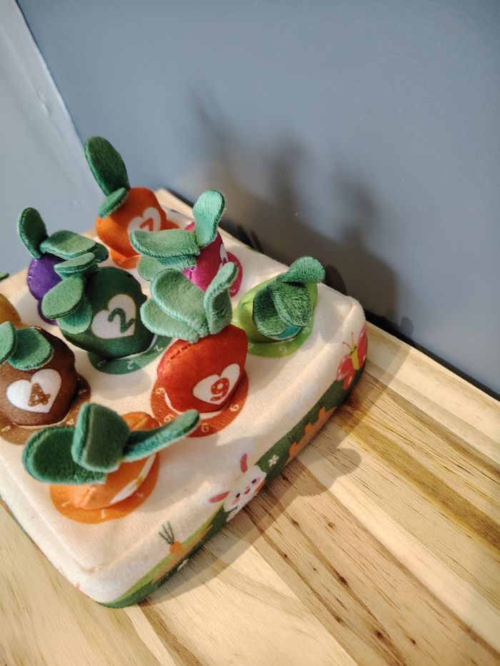 Jeux récoltes carottes - photo numéro 2