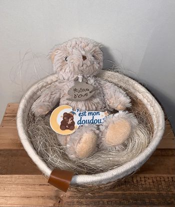HD29 Doudou ours histoire d’ours