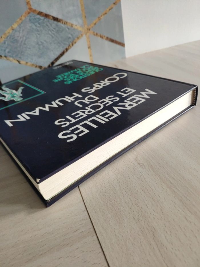 Livre grand format merveilles et secrets du corps humain questions réponses famille - photo numéro 3