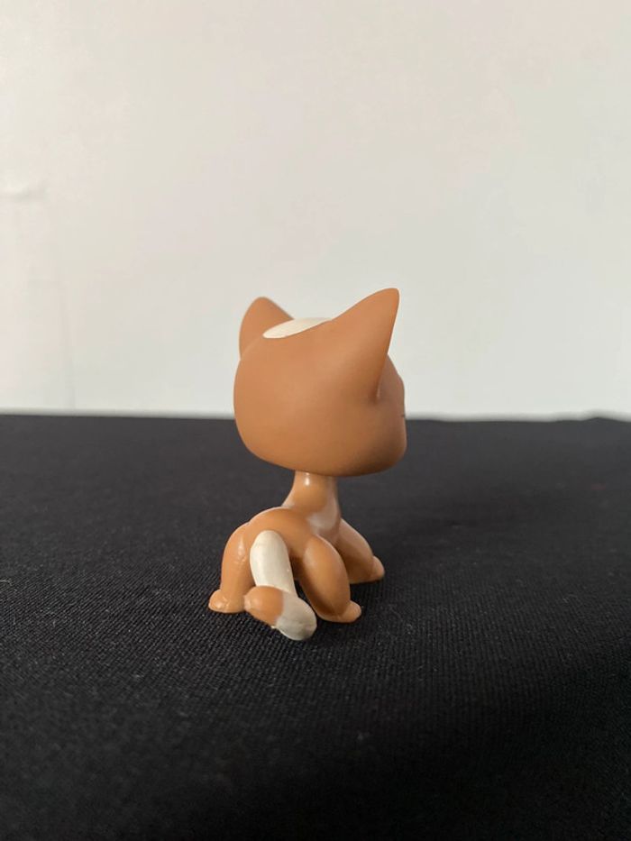 LPS 1170 - photo numéro 3