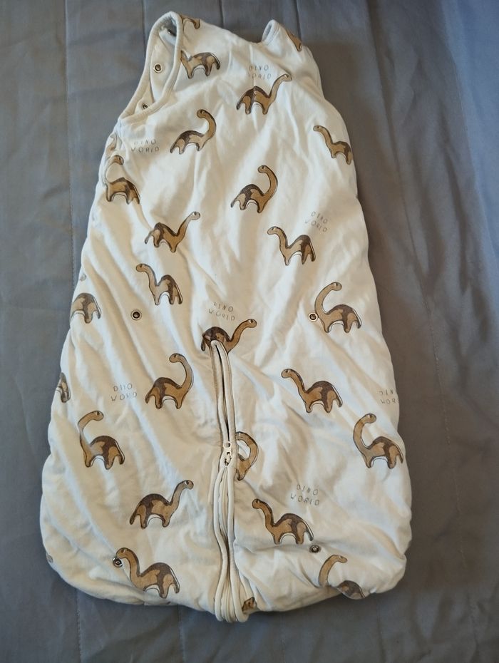 Gigoteuse dinosaure - photo numéro 2