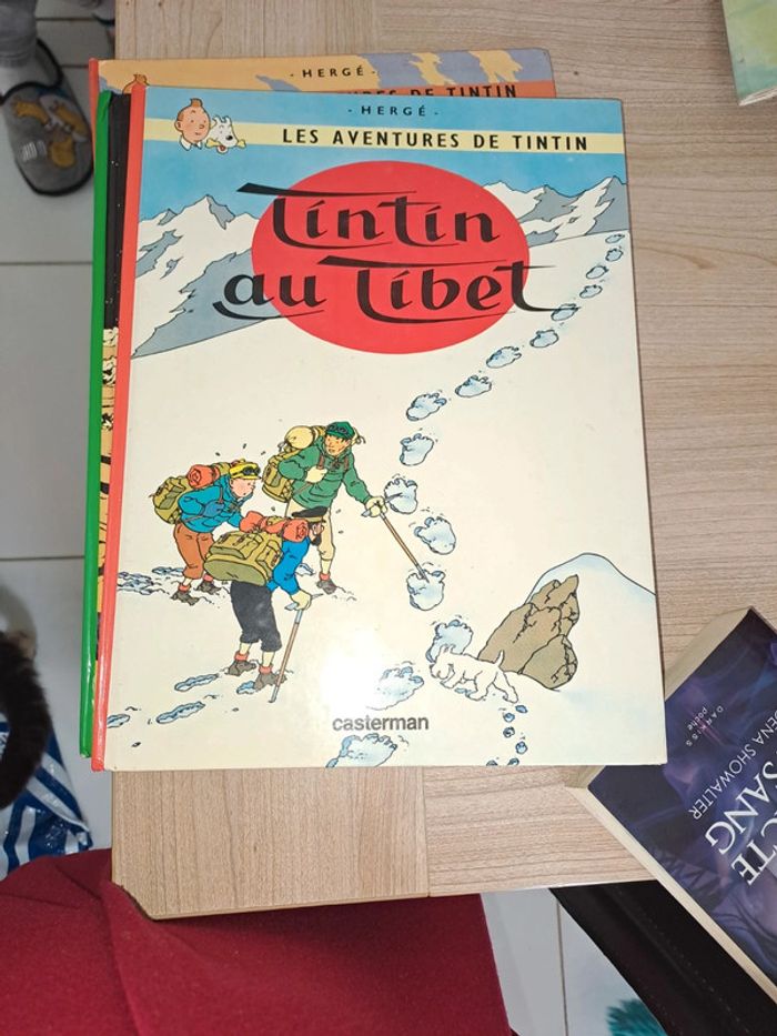 3 livres tintin - photo numéro 3