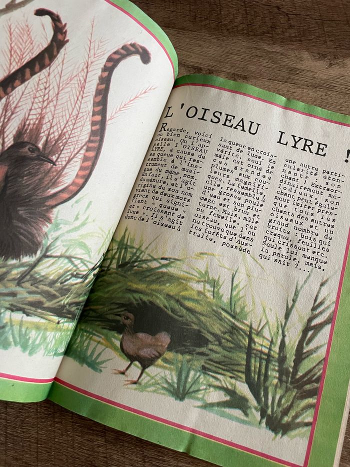 Le journal de Gigi - photo numéro 5