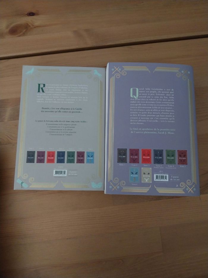 Romans Keleana tomes 7 Le Royaume de Cendres + Préquel 0.5- Sarah J. Maas La Martinière - photo numéro 3
