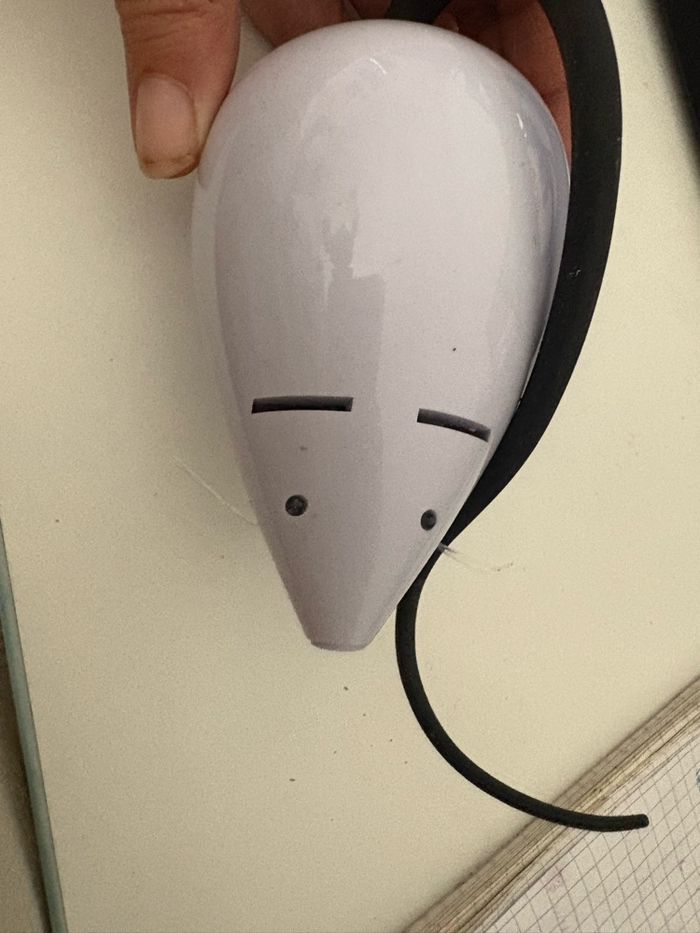 Jouet pour chat - photo numéro 2