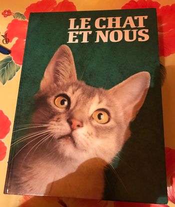 Le chat et nous