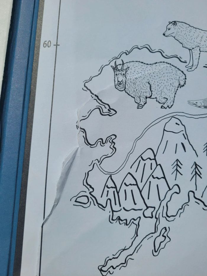 Atlas du Monde 🌍 Coloriage Éducatif Géant avec Autocollants - photo numéro 9