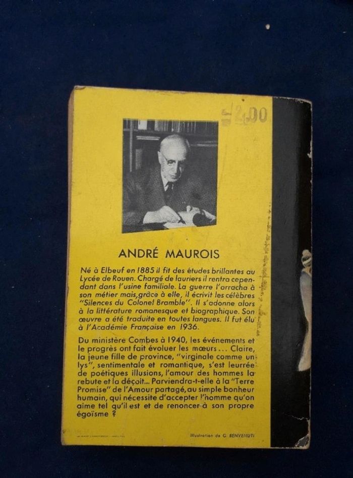 Livre Terre promise de André Maurois - photo numéro 2