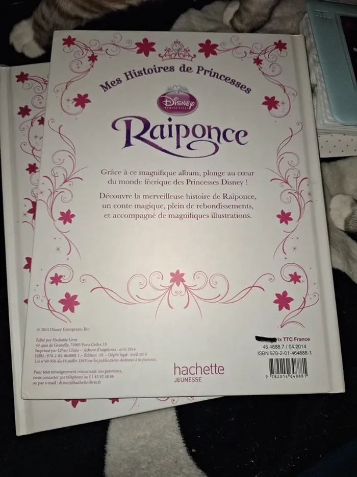 Livre disney - photo numéro 3