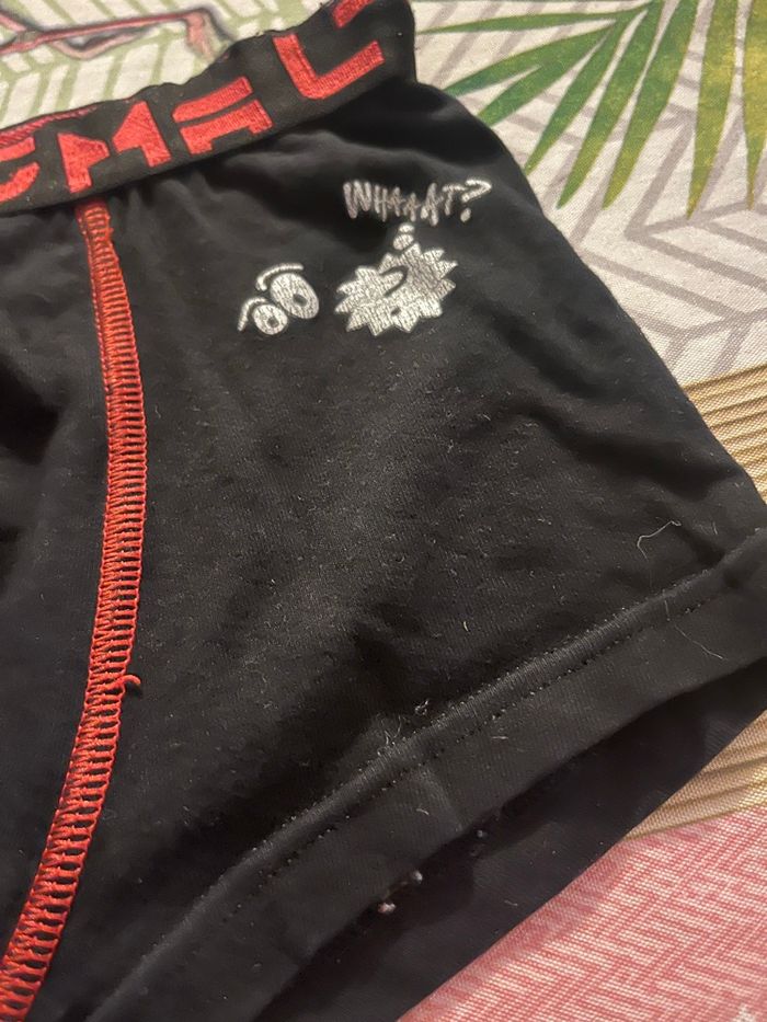 Boxer - photo numéro 2