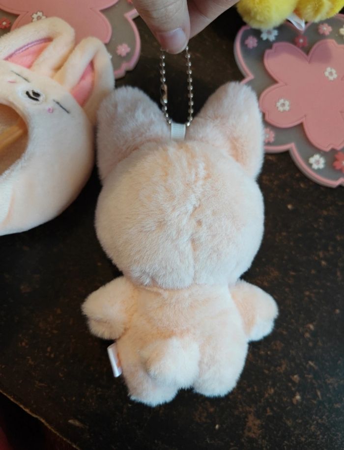 Foxi.ny i.n stray kids - photo numéro 4