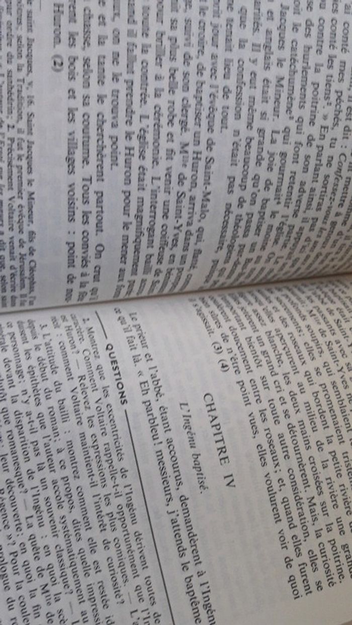 Livre Voltaire - photo numéro 3