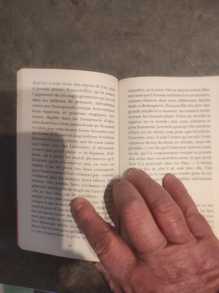 Les Onze Pierre Michon - Folio 2011 - photo numéro 4