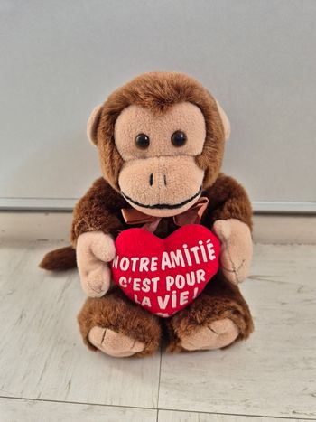 Peluche "notre amitié c'est pour la vie"