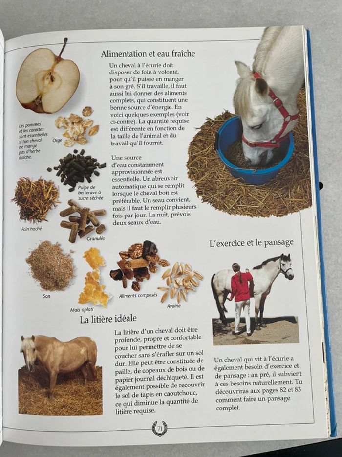 Le Grand Livre Du Cheval Et De L'Equitation - photo numéro 3