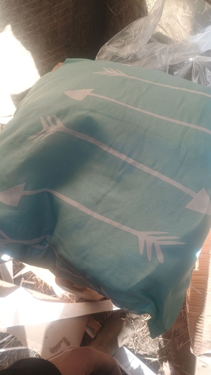 Lot de coussin - photo numéro 2