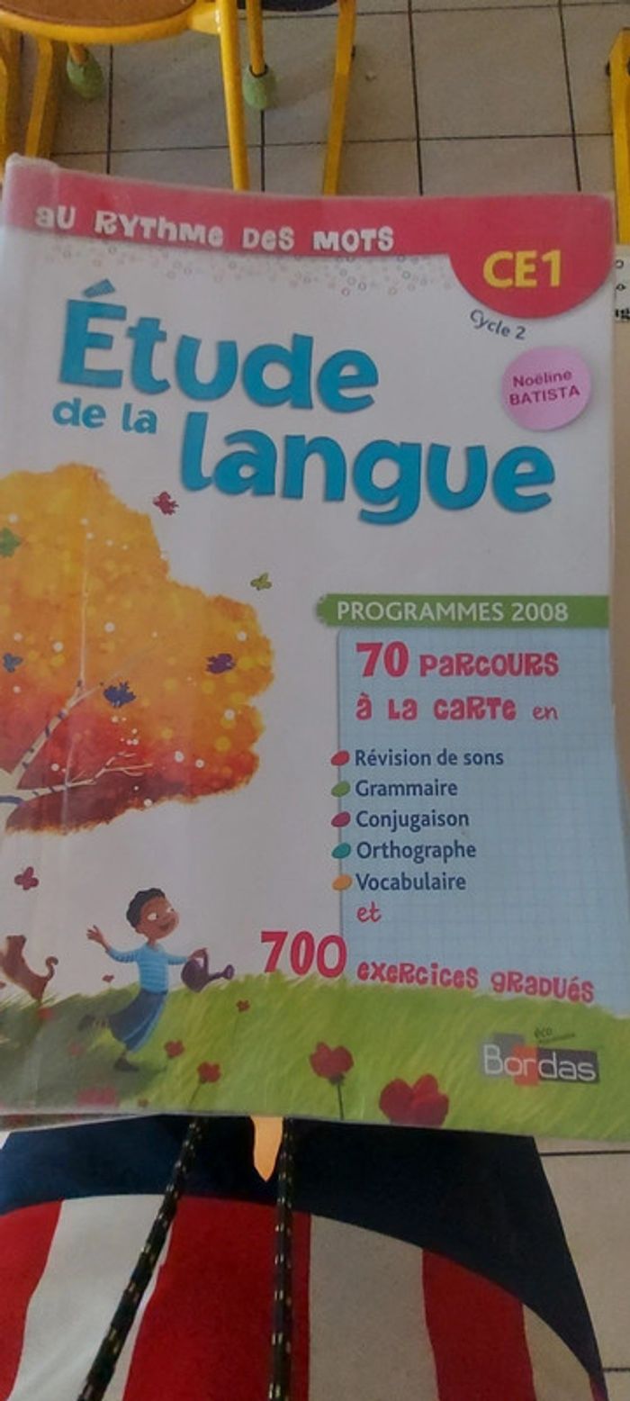 Lot de 15 livres etude de la langues CE1