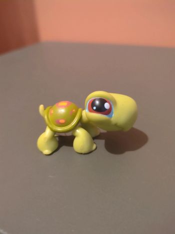 Littlest Petshop Lps Tortue