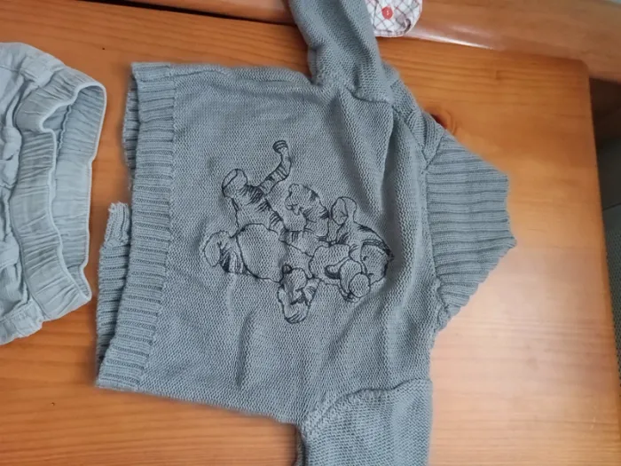 Lot Disney Winnie l ourson hiver garçon 18 mois - photo numéro 5