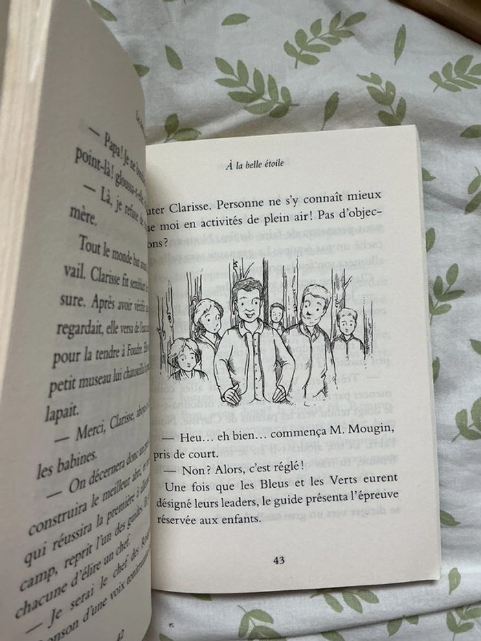 livre les chiots magiques à la belle étoile tome j2111 - photo numéro 5
