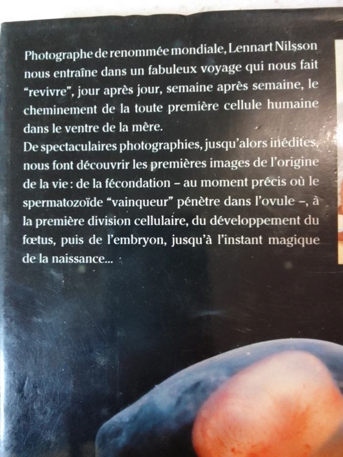 Dr. Lars Hamberger - Naître - photo numéro 3