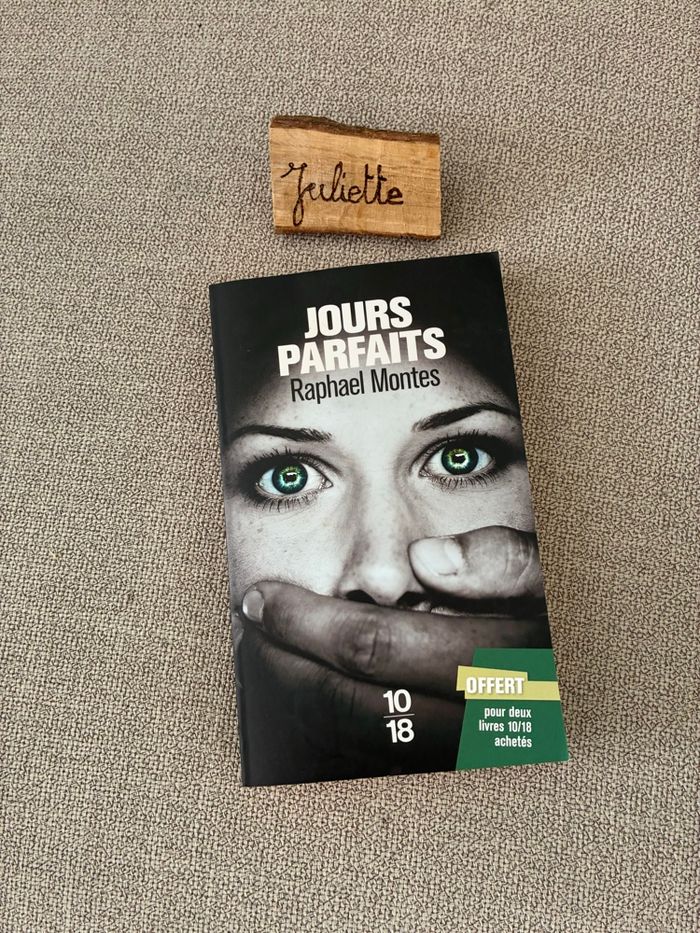 Jours parfaits Raphaël montes– très bon état - photo numéro 1