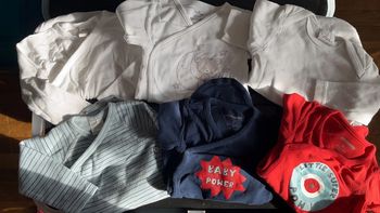 Lot 6 bodies