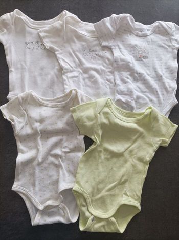 Lot bodies manches courtes