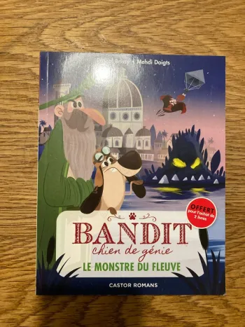 Bandit chien de génie -