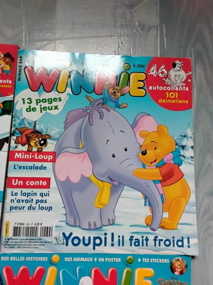 Lot Winnie - photo numéro 3