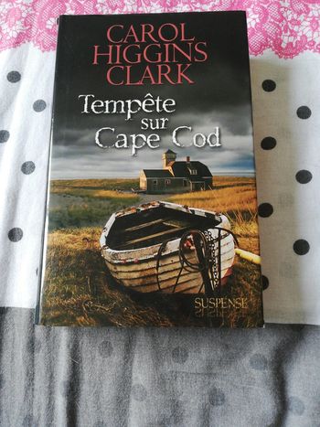 Tempête sur cape cod