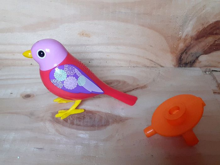 Digibird oiseau siffleur et sa bague - photo numéro 2