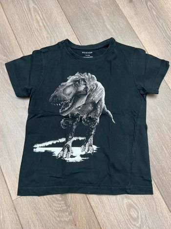 Tee shirt Dinosaure