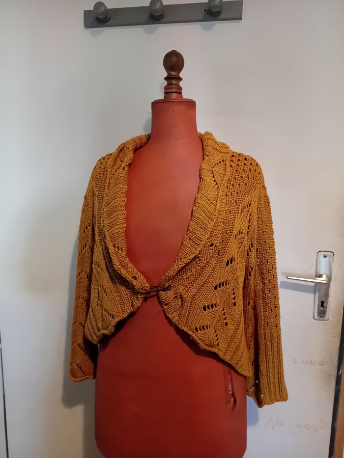 Gilet camaieu - photo numéro 1