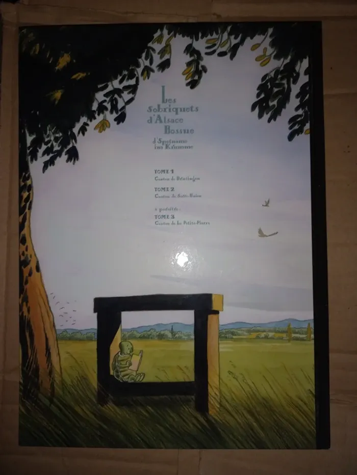 Livre: les sobriquets d'alsace bossue tome 2 - photo numéro 2