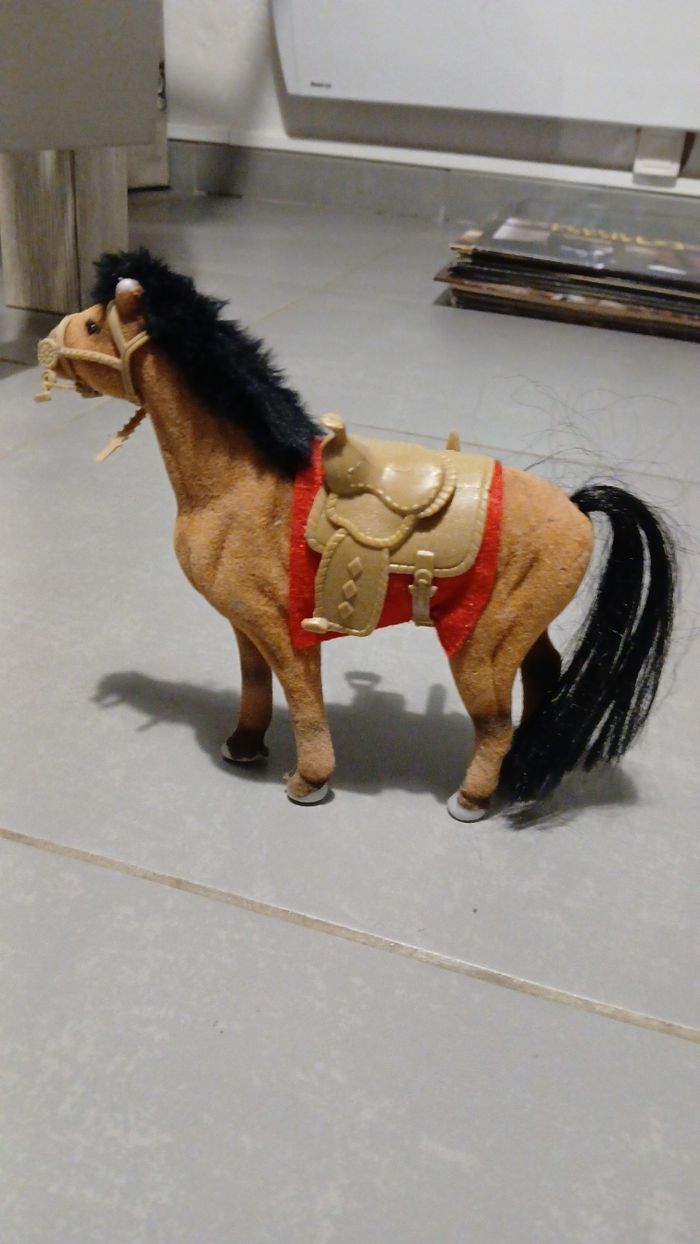 Cheval - photo numéro 2