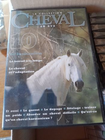 DVD