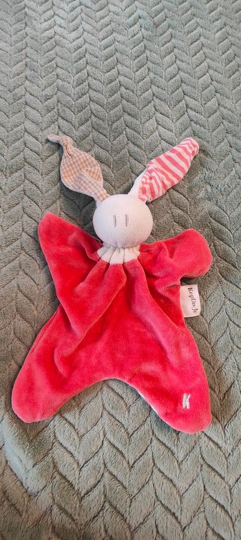 Lapin Plat grande oreille keptinjr rosd