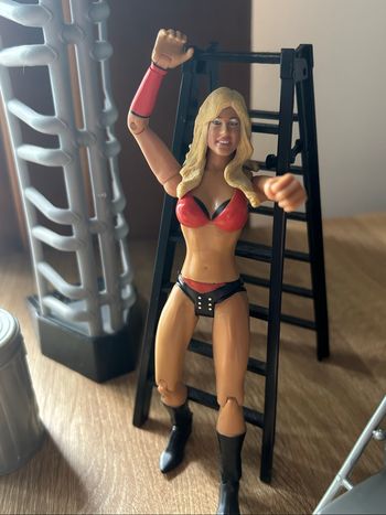 Kelly Kelly WWE Action Figure