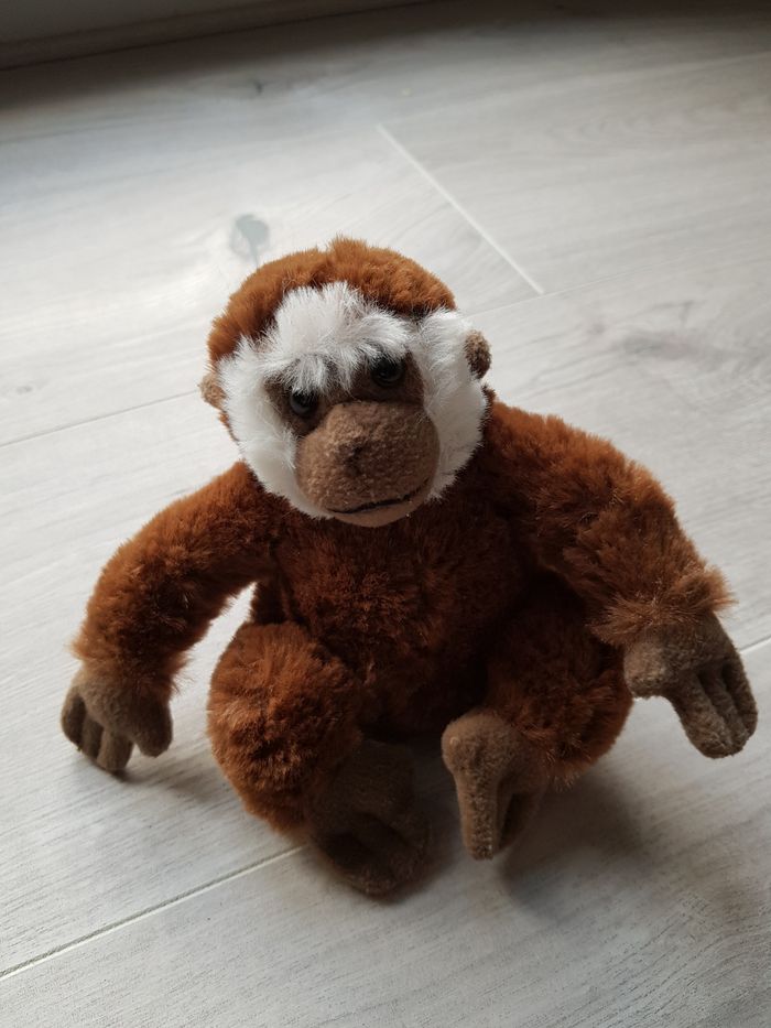 Nounours singe