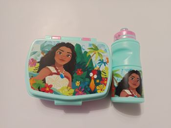 boite à gouter et gourde vaiana