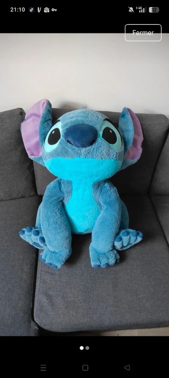 Énorme stitch 