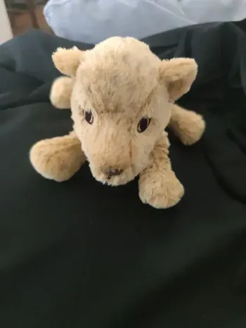 Peluches