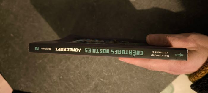 Livre Minecraft - photo numéro 3