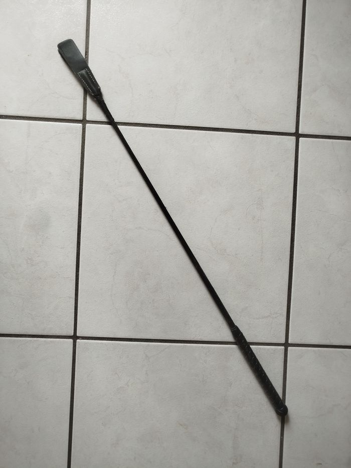 cravache pour équitation