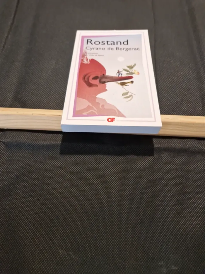 Cyrano de Bergerac - Edmond Rostand - photo numéro 2